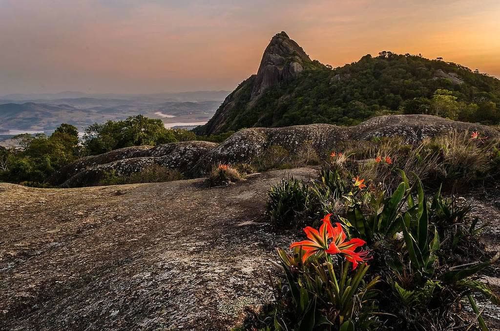 Rochas do cume com flores alaranjadas e o pico ao fundo no fim de tarde